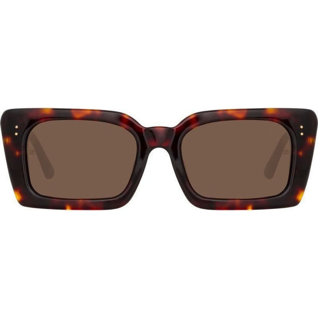 Nieve, Dark Tortoise/Brown Lenses