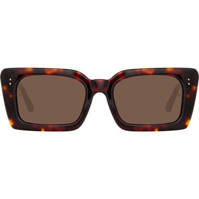 Nieve, Dark Tortoise/Brown Lenses