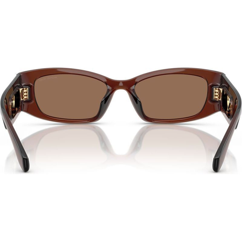 Rhodes MK2243U, Transparent Brown/Brown Lenses