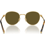 MU55ZS, Gold/Dark Brown Lenses