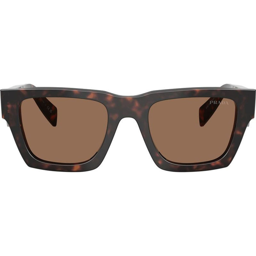 PRA06S, Root Tortoise/Dark Brown Lenses