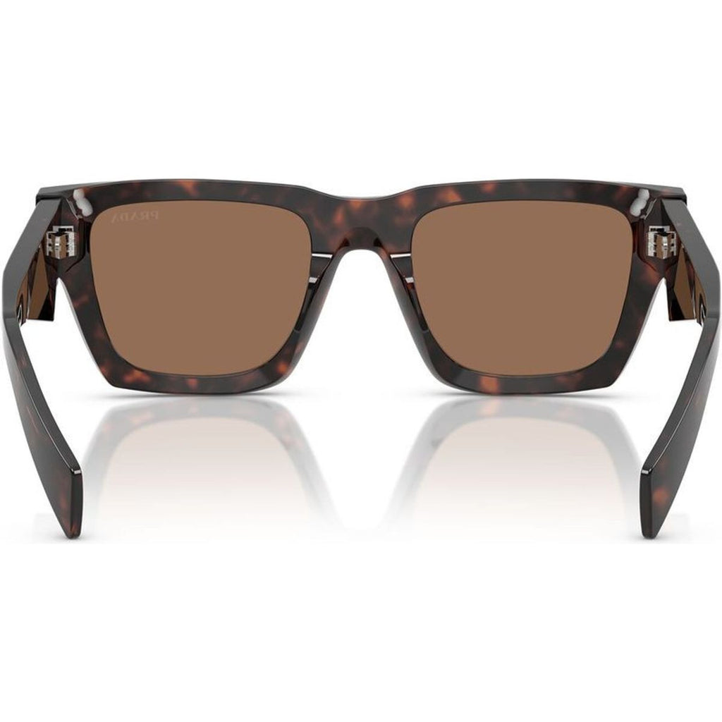 PRA06S, Root Tortoise/Dark Brown Lenses
