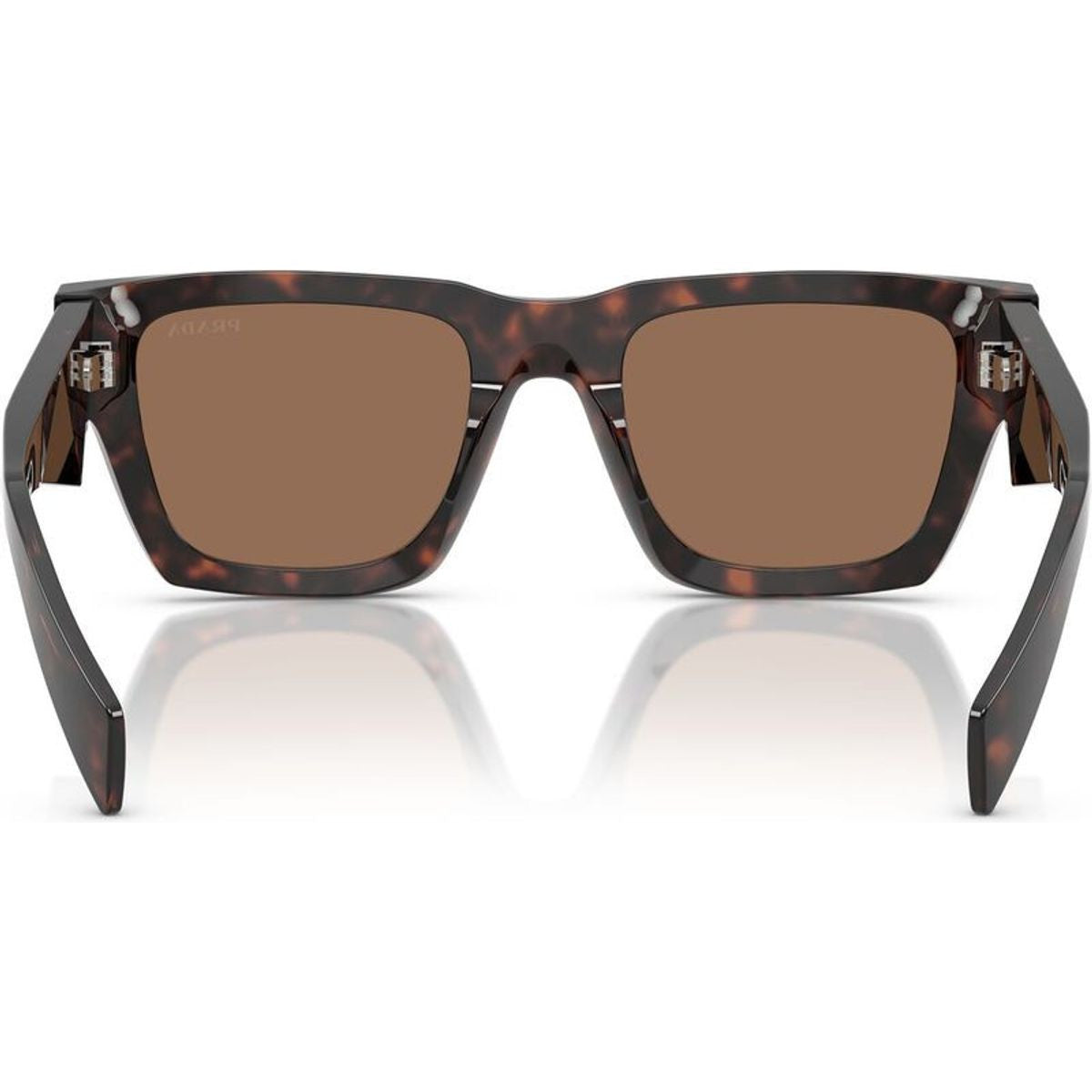 PRA06S, Root Tortoise/Dark Brown Lenses