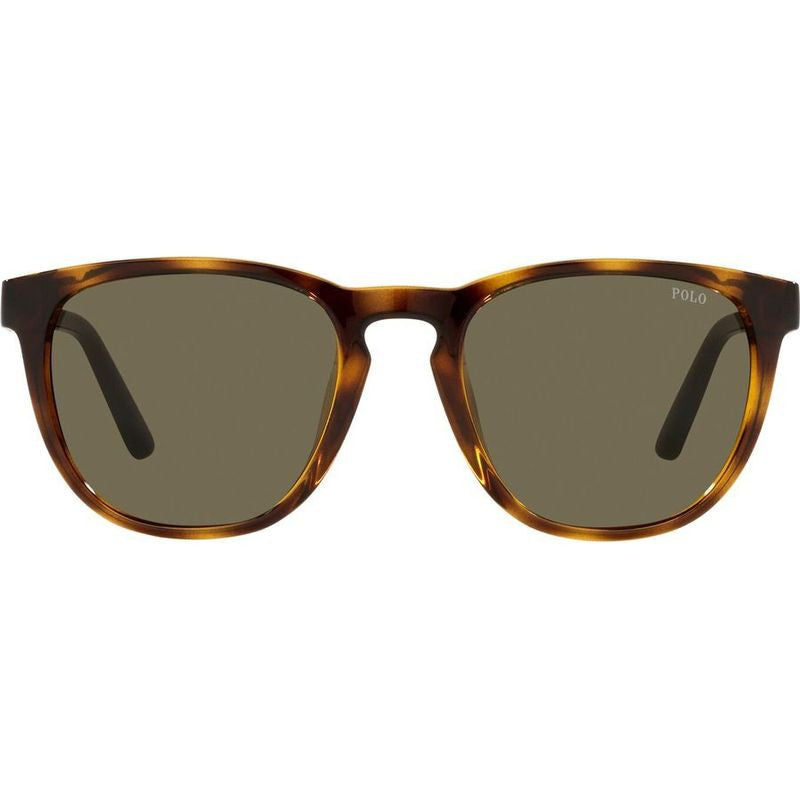 PH4182U, Shiny Havana/Brown Lenses