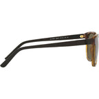 PH4182U, Shiny Havana/Brown Lenses