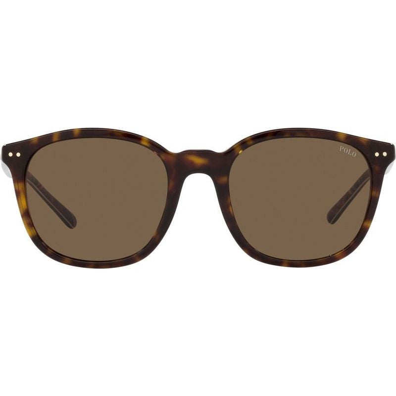 PH4188, Shiny Dark Havana/Brown Lenses