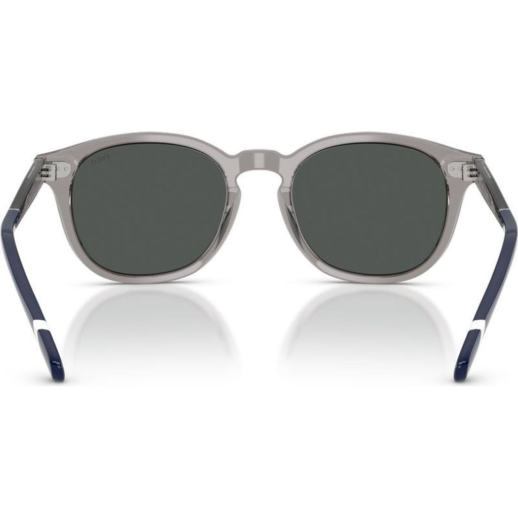 PH4206, Shiny Transparent Grey/Dark Grey Lenses