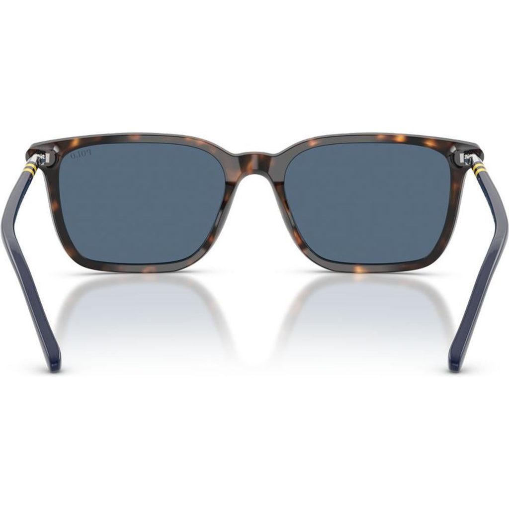 PH4226, Shiny Havana/Dark Blue Lenses