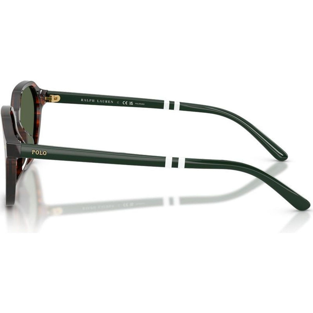 PH4234U, Shiny Havana/Green Polarised Lenses