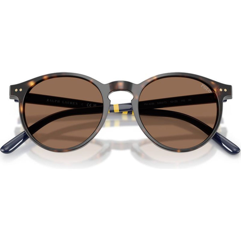 PH4236, Shiny Dark Havana/Brown Lenses