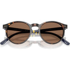 PH4236, Shiny Dark Havana/Brown Lenses