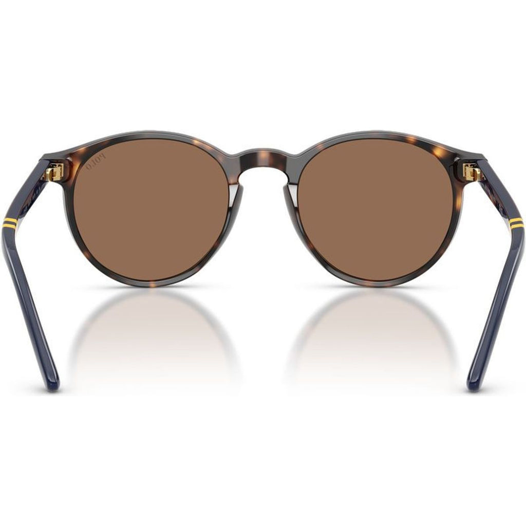 PH4236, Shiny Dark Havana/Brown Lenses