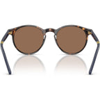 PH4236, Shiny Dark Havana/Brown Lenses