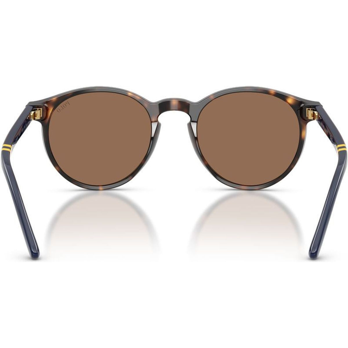 PH4236, Shiny Dark Havana/Brown Lenses