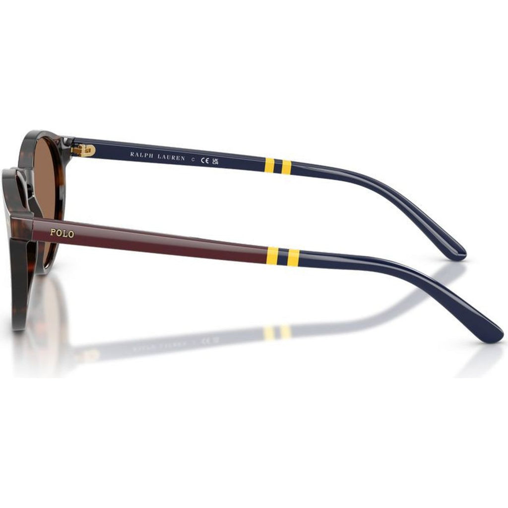 PH4236, Shiny Dark Havana/Brown Lenses
