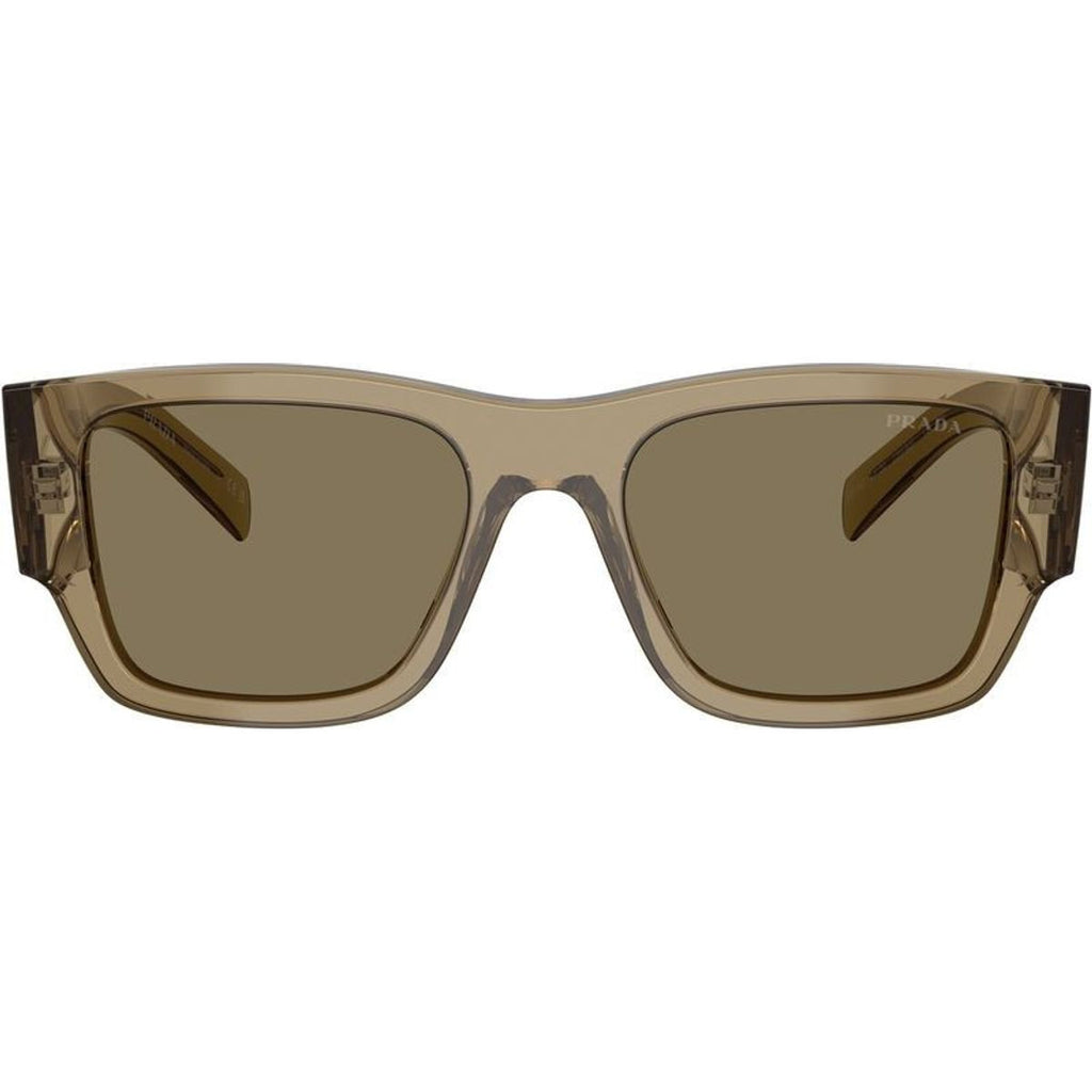 PR10ZS, Bark/Light Brown Lenses