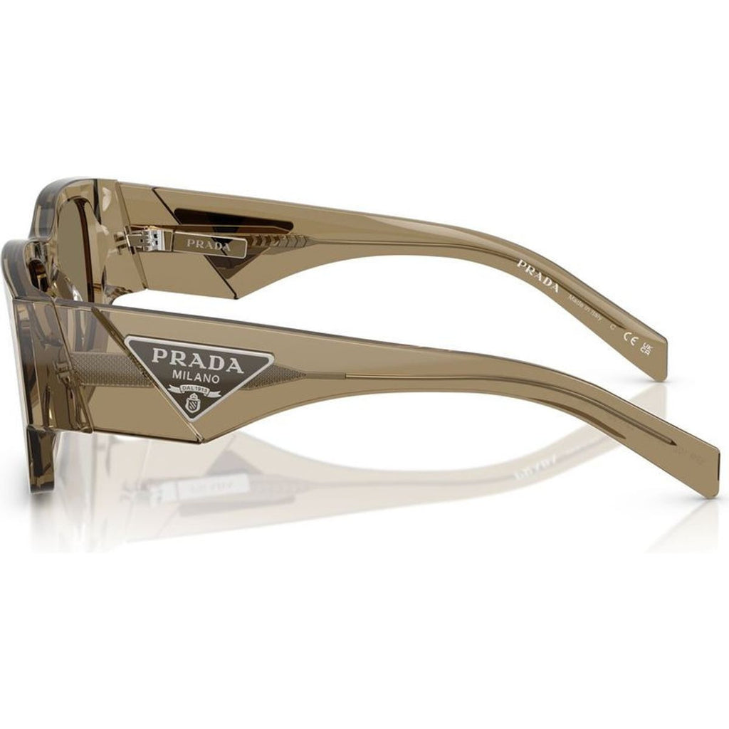 PR10ZS, Bark/Light Brown Lenses