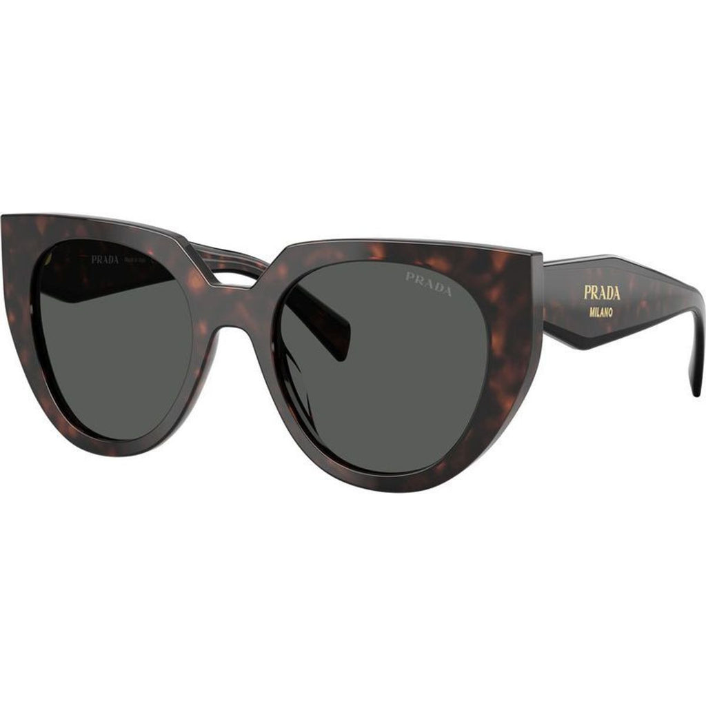 PR14WS, Root Tortoise/Dark Grey Lenses