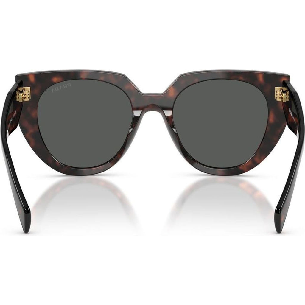 PR14WS, Root Tortoise/Dark Grey Lenses