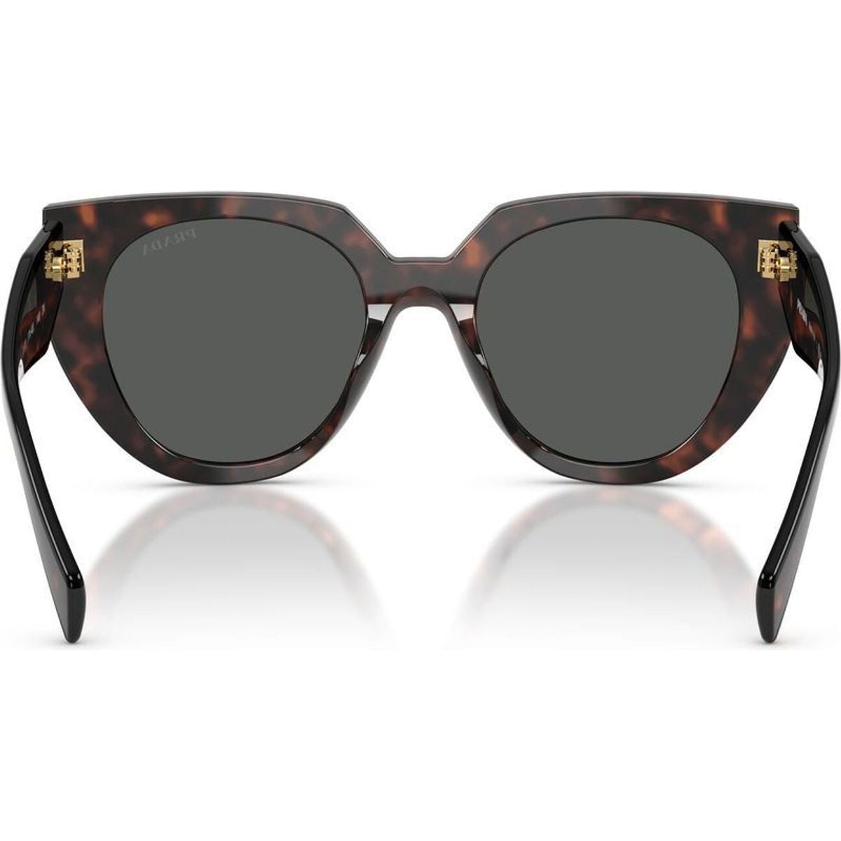 PR14WS, Root Tortoise/Dark Grey Lenses