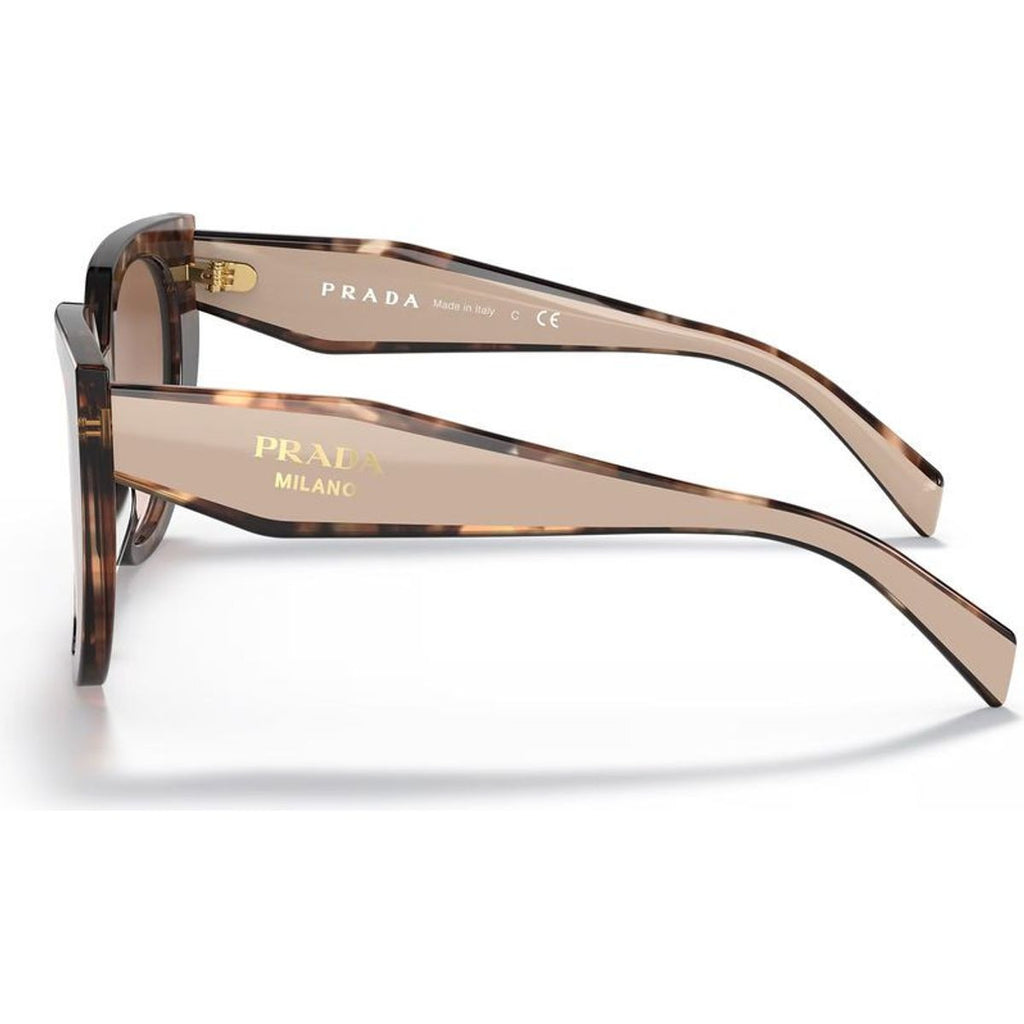 PR14WSF, Caramel Tortoise and Powder/Brown Gradient Lenses