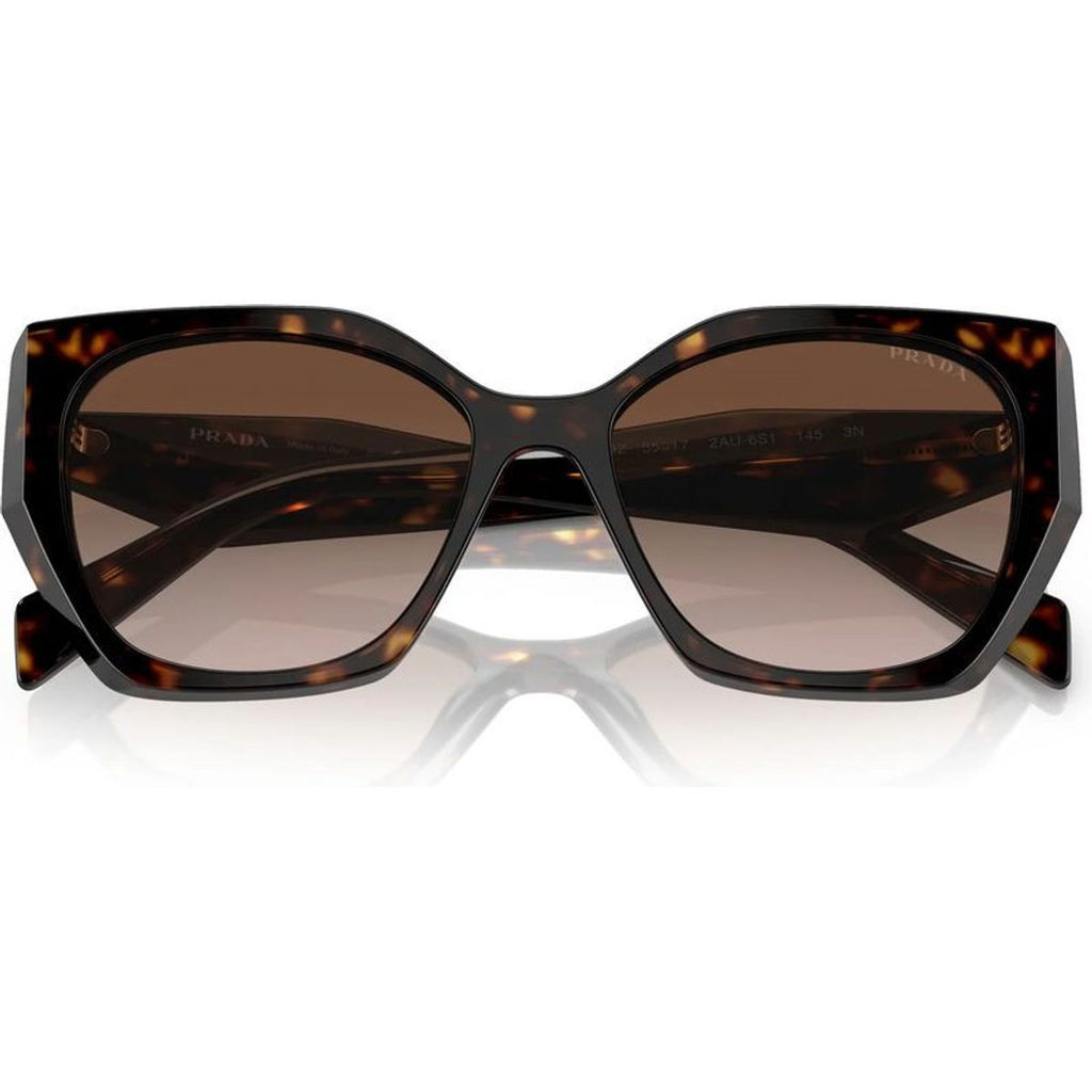 PR19ZS, Tortoise/Brown Gradient Lenses