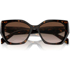 PR19ZS, Tortoise/Brown Gradient Lenses
