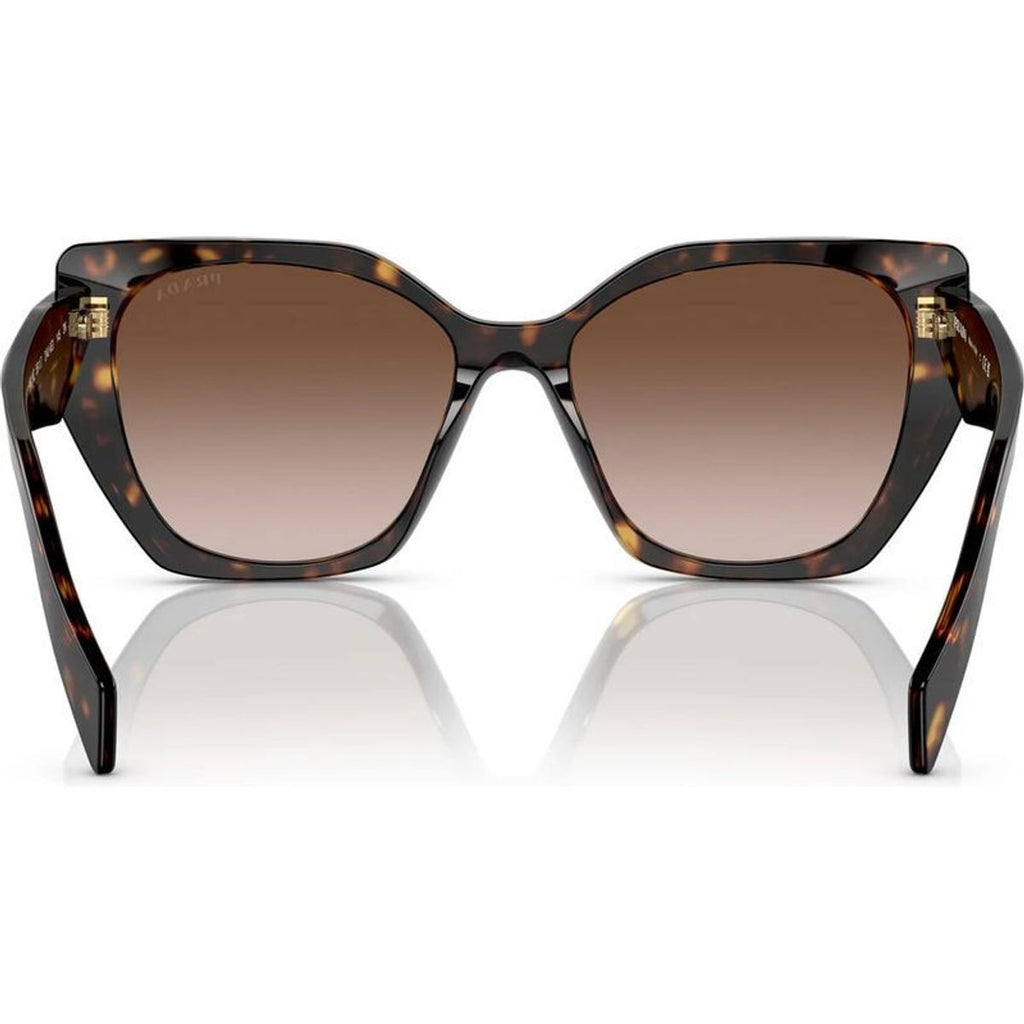 PR19ZS, Tortoise/Brown Gradient Lenses