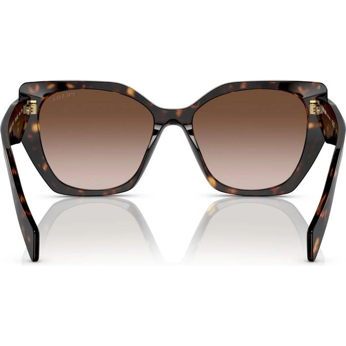 PR19ZS, Tortoise/Brown Gradient Lenses