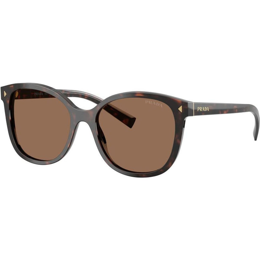 PR22ZS, Tartaruga Radica/Dark Brown Lenses