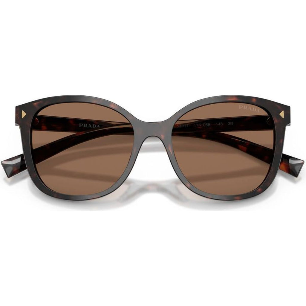 PR22ZS, Tartaruga Radica/Dark Brown Lenses