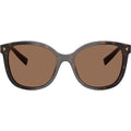 PR22ZS, Tartaruga Radica/Dark Brown Lenses