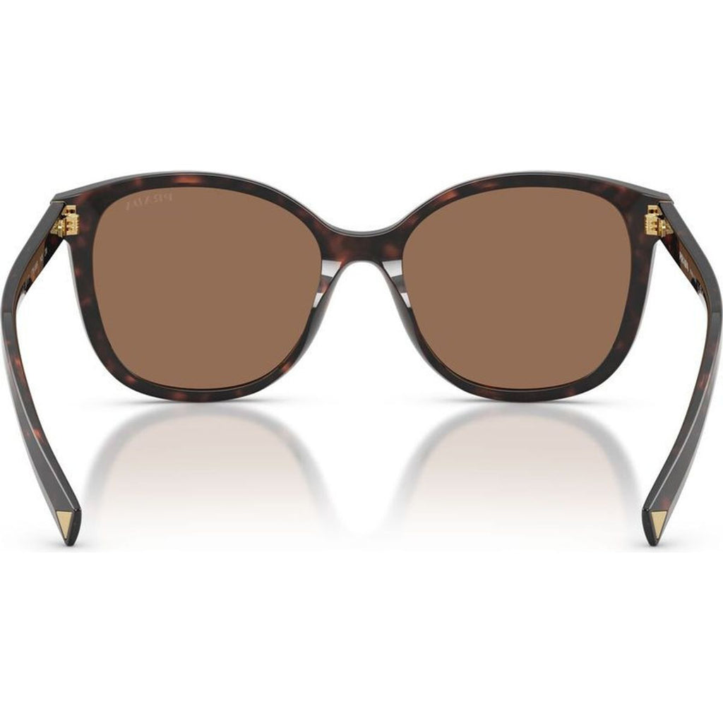 PR22ZS, Tartaruga Radica/Dark Brown Lenses
