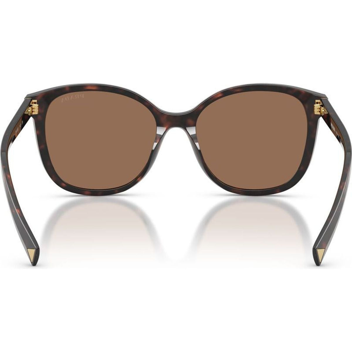 PR22ZS, Tartaruga Radica/Dark Brown Lenses