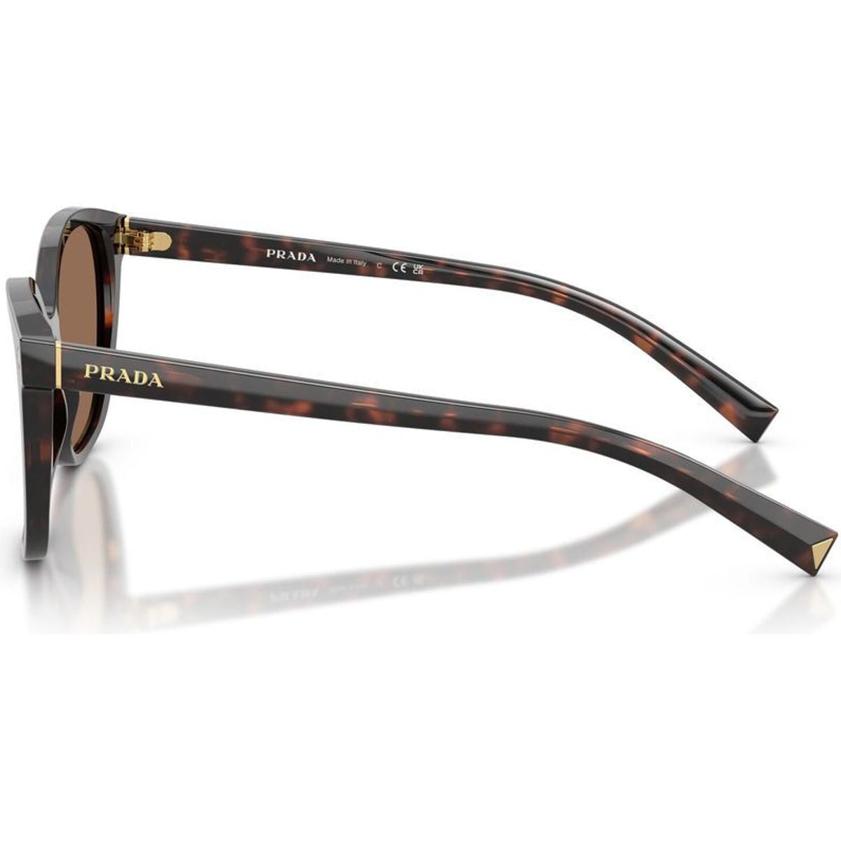 PR22ZS, Tartaruga Radica/Dark Brown Lenses