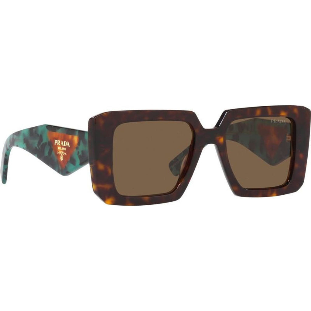 PR23YS, Tortoise/Dark Brown Lenses