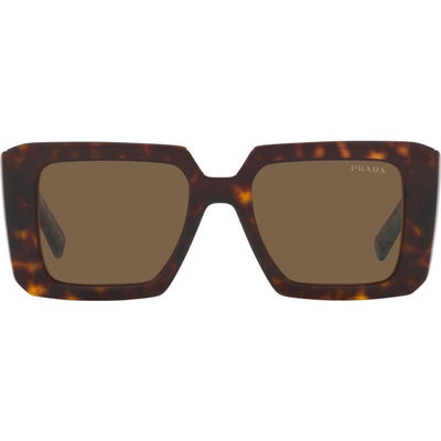 PR23YS, Tortoise/Dark Brown Lenses