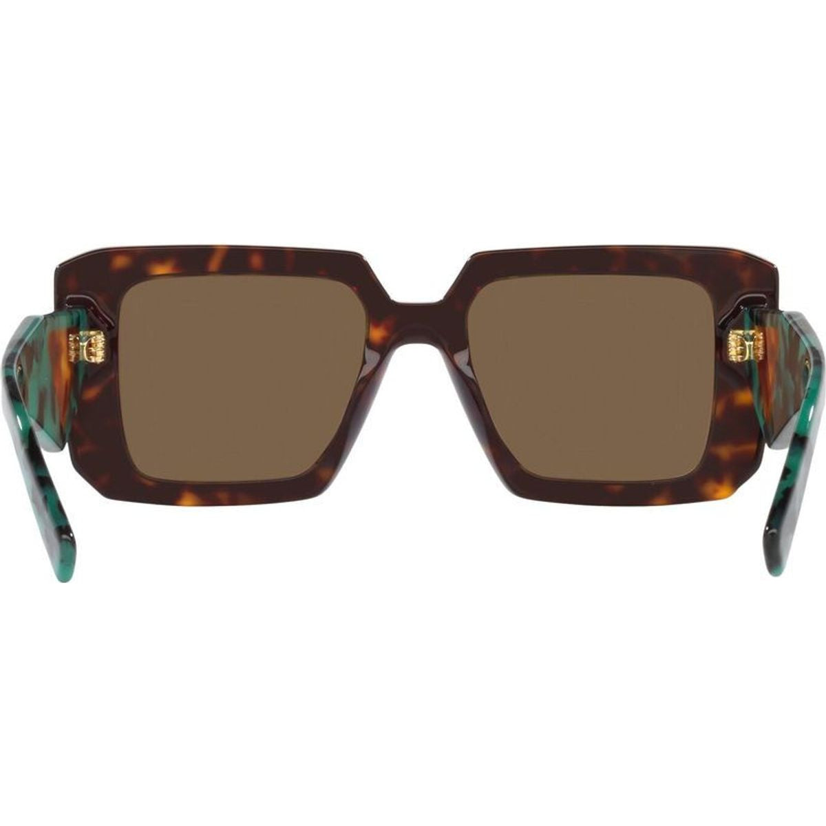 PR23YS, Tortoise/Dark Brown Lenses