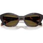 PRA02S, Root Tortoise/Dark Brown Lenses