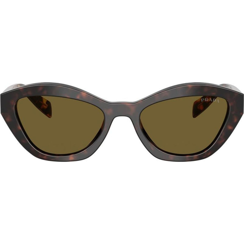 PRA02S, Root Tortoise/Dark Brown Lenses