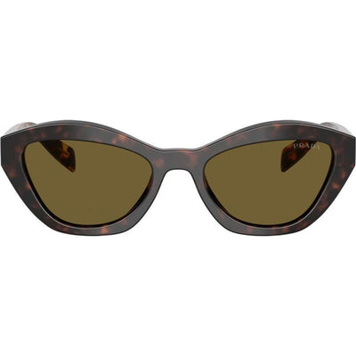 PRA02S, Root Tortoise/Dark Brown Lenses