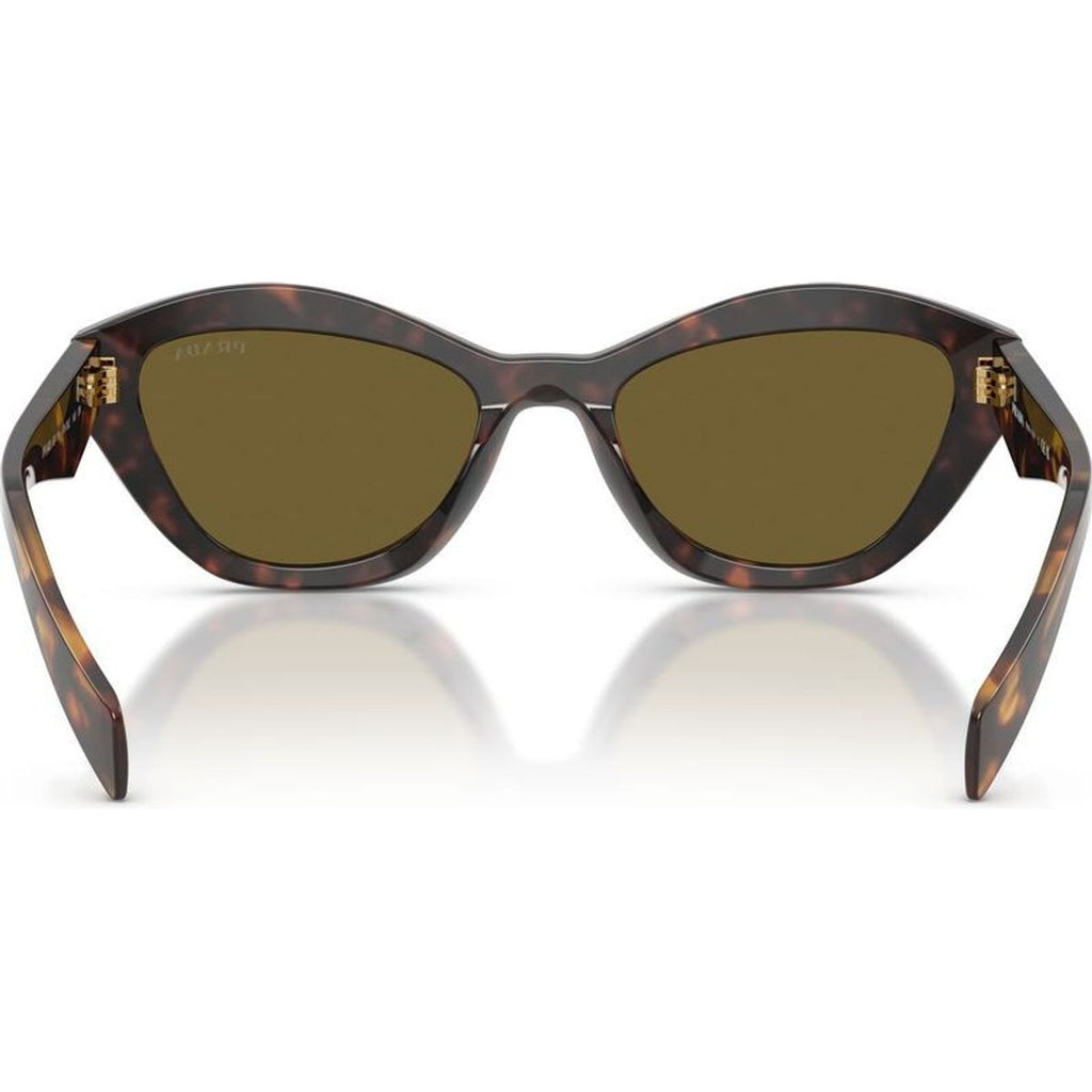 PRA02S, Root Tortoise/Dark Brown Lenses