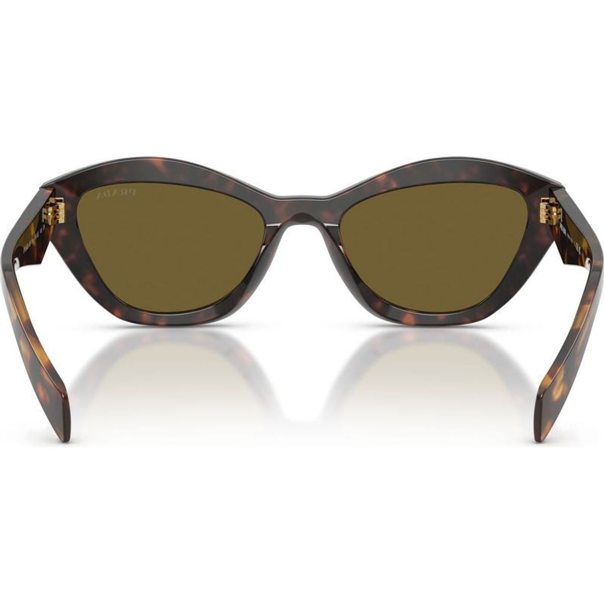 PRA02S, Root Tortoise/Dark Brown Lenses