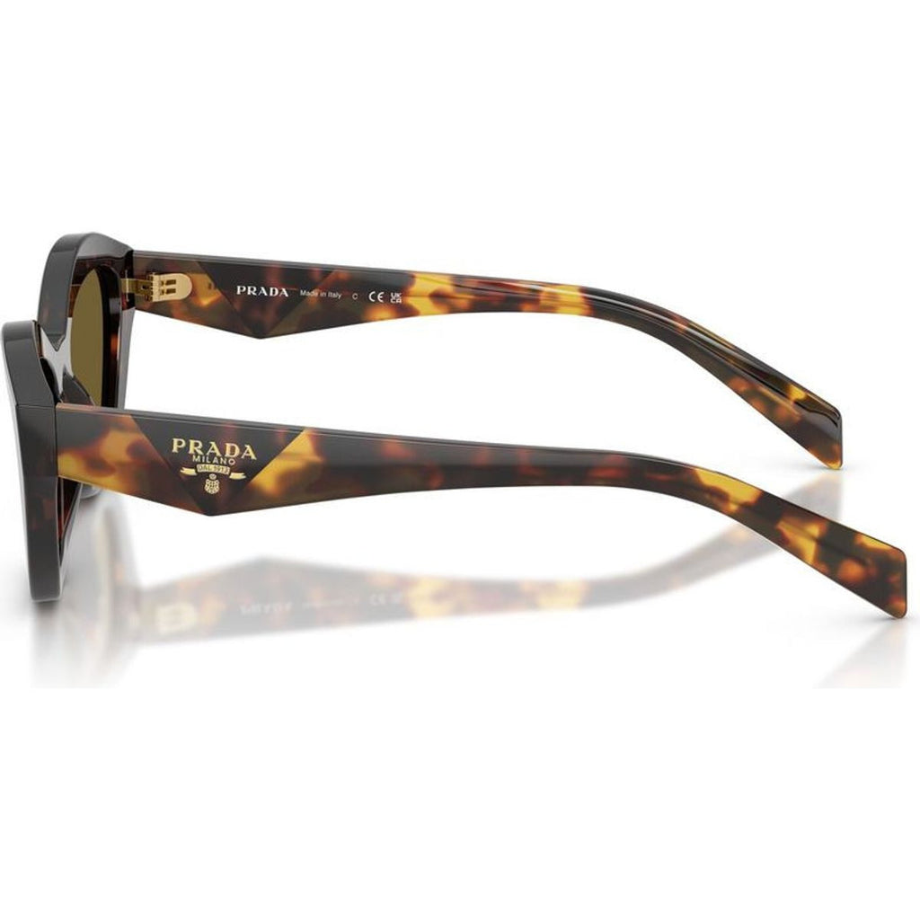 PRA02S, Root Tortoise/Dark Brown Lenses