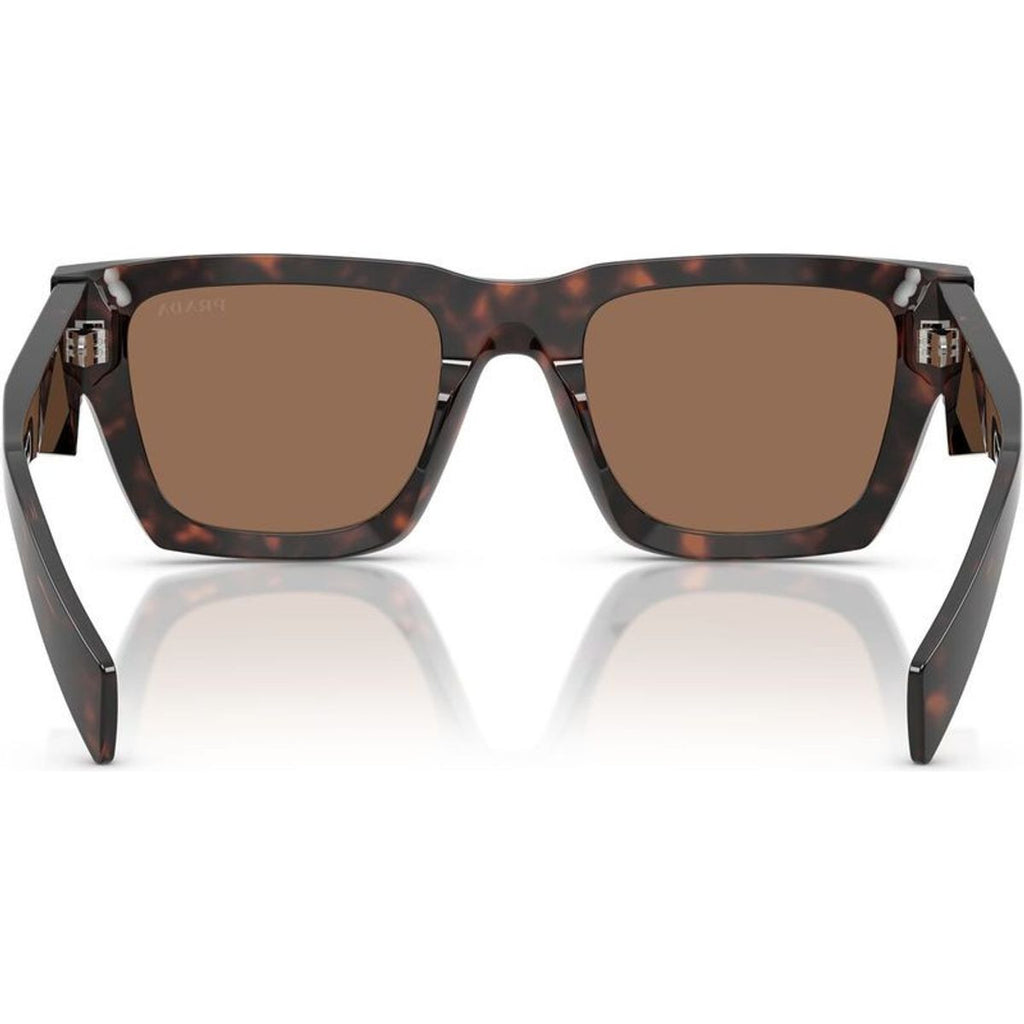 PRA06SF, Root Tortoise/Dark Brown Lenses