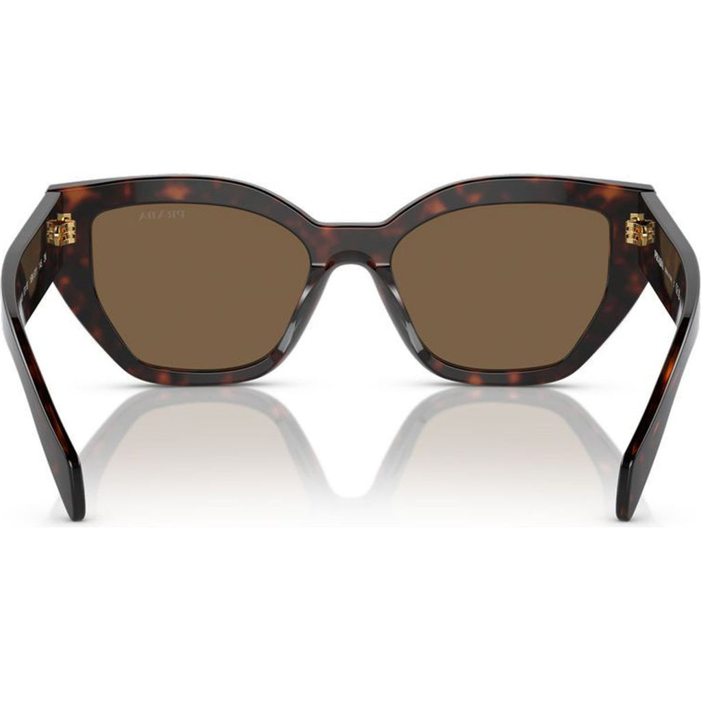 PRA09S, Briar Tortoise/Dark Brown Lenses