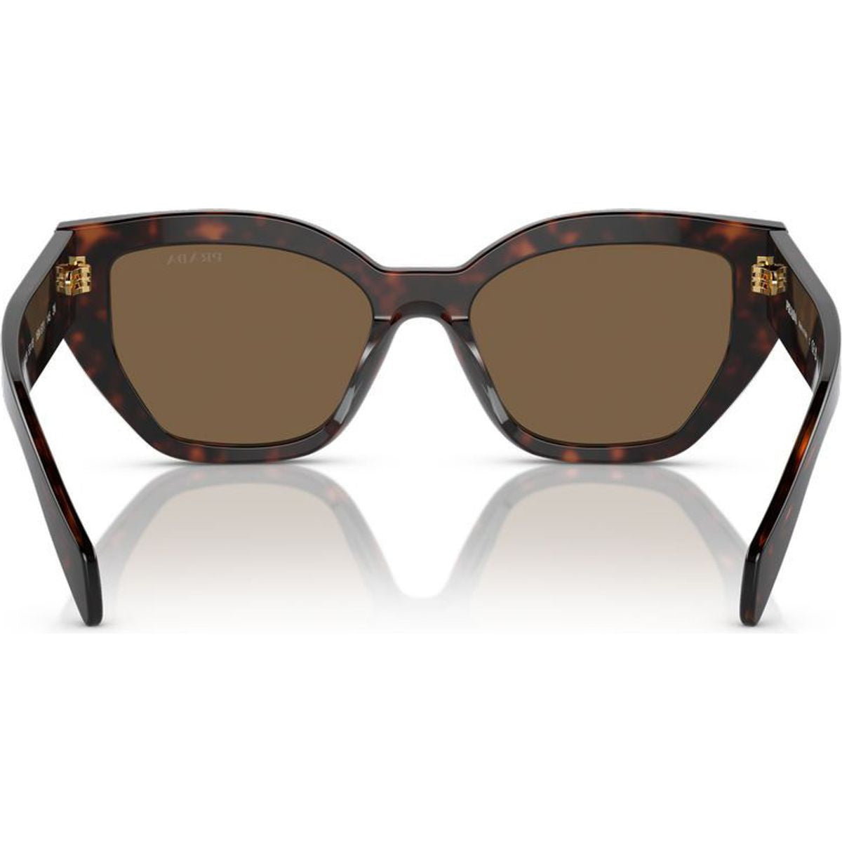 PRA09S, Briar Tortoise/Dark Brown Lenses