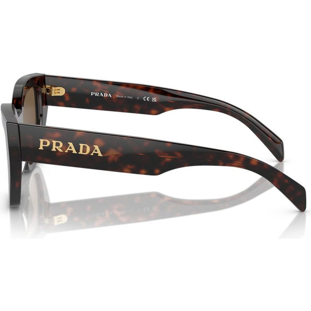 PRA09S, Briar Tortoise/Dark Brown Lenses