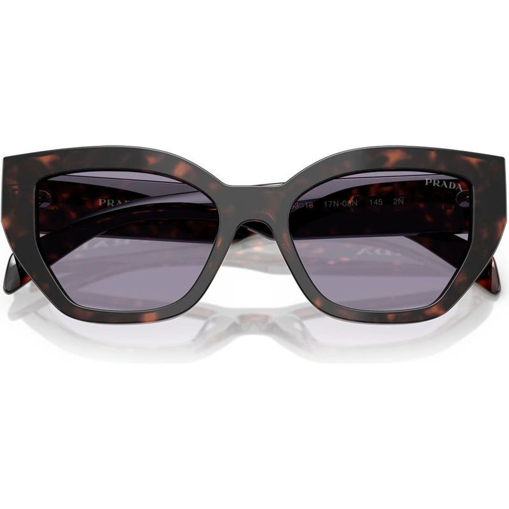 PRA09S, Root Tortoise/Grey Lenses