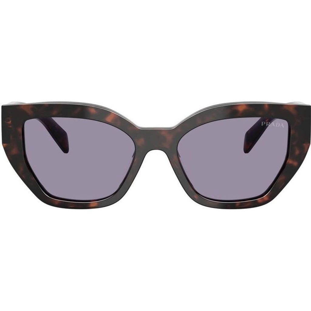 PRA09S, Root Tortoise/Grey Lenses